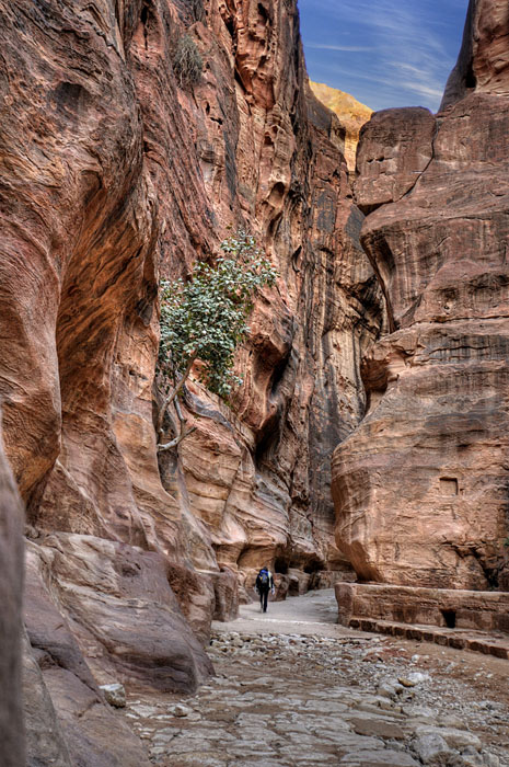 The canyon into Petra: Siq Mussa